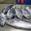 Skipkack Tuna - Katsuwonus Pelamis