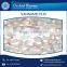 Quality Approved Sea Food Delicious Taste Cleaned Shrimp Vannamei
