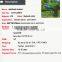 Hot sale new design artificial milan grass animal boxwood for decoration