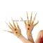 Yifusha Women Sexy Indian Dance Jewelry Glod Belly Dance Bracelet With Finger