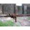 Barbed Wire(factory)