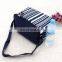 Stripe Pattern Warm Water Bottle Handle Carry Cooler Bag