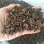 Factory Price Premium Quality Chinese Wild Dried Mushroom Black Truffle (1-4CM&4-6CM)