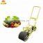 Grass seeds planting machine / automatic seed planting machine for vegetable ,onion ,carrot