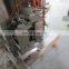 Hot CE Approved Salt Rice Doypack Bag Packing Machine