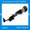 W221 A2213200538 Brand new airmatic shock absorber
