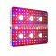 3000W Phyto Lamp For Plants LED Grow Light Indoor Full Spectrum Warm Light Growing Lamp