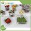 Clear PET plastic vegetable packaging box,First manufacturer of PET products in China, best supplier
