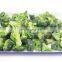 Sinocharm BRC-A approved IQF Broccoli frozen Broccoli