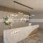 Modern Minimalist LED Hanging Lights Seagull Pendant Light Nordic Bar Restaurant Window Bird Decor Ceiling Chadnelier