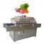 industrial uv powder sterilizer from Elva