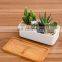Best Selling Humanoid Succulent Giant White Planter Plant Indoor Drawing Big 1 Pot Ceramic
