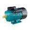 Light Weight AC 1.5Hp 2Hp 3000 rpm Single Phase Electric Motor Drive