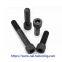 Black oil Hexagon Head Screw Spike