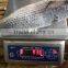 800-1000G Grey mullet and mugil cephalus