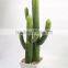 Wholesale Artificial Cactus And Succulent Artificial Bonsai Succulent Plants