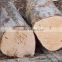 RUSSIAN Timber Log / Sawlogs /Wood round logs / lumber /PINE / SPRUCE / LARCH / BIRCH