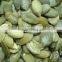 new crop white pumpkin seed kernel factory