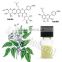 Herbals For Sex Epimedium Extract powder