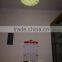 digital projector LED clock