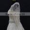 New champagne colored A-line half sleeve straight neckline wedding dress with silver thread lace