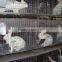 rabbit cage design with feeder and drinker