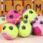 custom pet tennis balls for hot wholesale