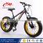 2016 best selling Golden mountain bicycle big tyre / titanium big tire bike for adult / Beach cruiser 26''