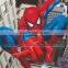 Wholesale Cheap Fashion American Style Super Hero Series Kids Room 3d Floor Murals