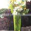 2016 Hot Selling Different Size Colored Clear Glass Vases Flower for Home Decoration