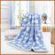 Cheap Flannel Home Textile Plush Fabric Blanket