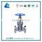 Cast Steel Slide Gate Valve