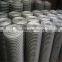 Electro Galvanized WELDED wire mesh from Factory