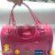 2016 charming pet shopping bag,pet carrier bag,foldable dog carrier