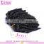 100% Remy Hot Beauty Romance Curl Human Hair 8a Grade Virgin Brazilian Hair Weave