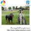 Pet Products Bicycle Dog Leash Retractable, Bike Training Leash for Dogs