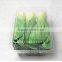2.5kg Capacity Disposable Clear Plastic Punnet for Vegetable