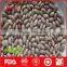 Light coloured speckled kidney beans for sale
