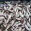 frozen shiitake cut