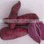Fresh Purple Sweet Potato