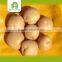 farm agra potato
