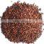 GMP manufacturer supply 95%OPC Grape Seed Extract Supplement