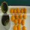 New Crop Canned Apricot Halves in Syrup at factory price