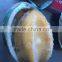 Best Price IQF Frozen Cooked Abalone
