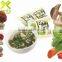 Savory Freeze Dried Instant 6g Mushroom Soup