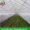 Simple Polytunnel Greenhouse