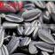 Chinese Common Cultivation Sunflower Seed Wholesale Market Price
