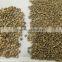 High Capacity Coffee Bean Color Sorter Machine In China