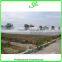 Metal Frame Durable Strong Used Greenhouse