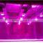 Aluminium cob led light heat sink cob grow light kit 100w cob led full spectrum